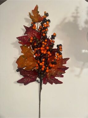 Hobby Lobby Orange & Burgundy Maple Berry Stem